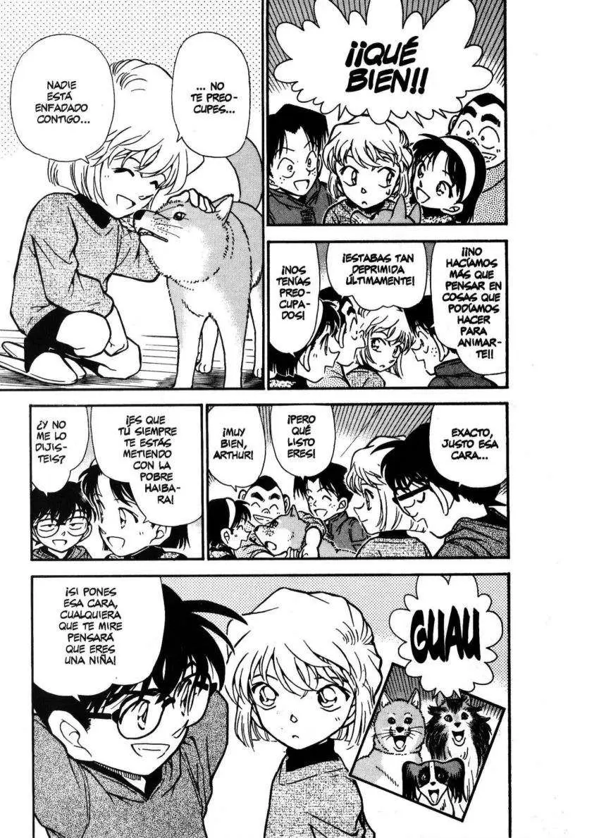 Detective Conan capítulo 292 página 18