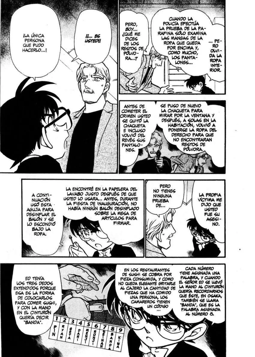 Detective Conan capítulo 295 página 10