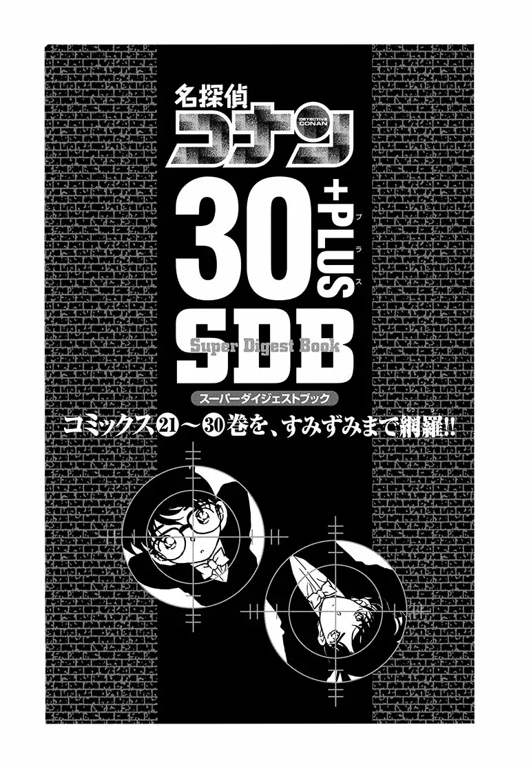 Detective Conan capítulo 306.5 página 5