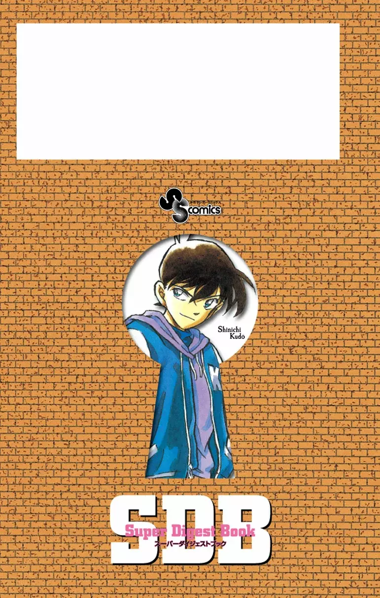 Detective Conan capítulo 306.5 página 12