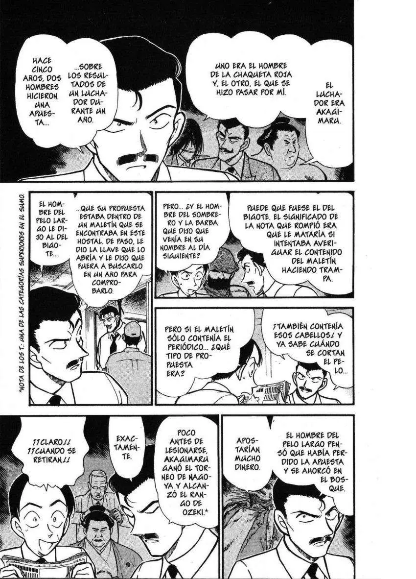 Detective Conan capítulo 309 página 8