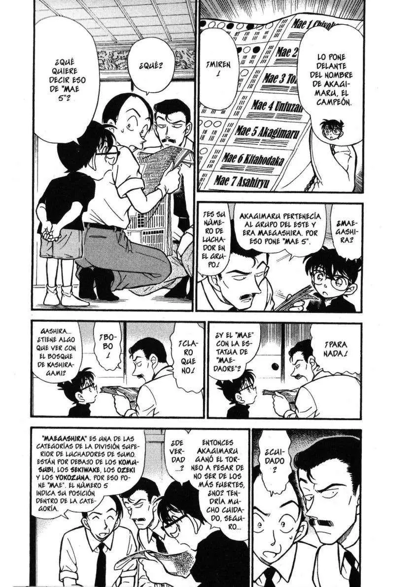 Detective Conan capítulo 310 página 4