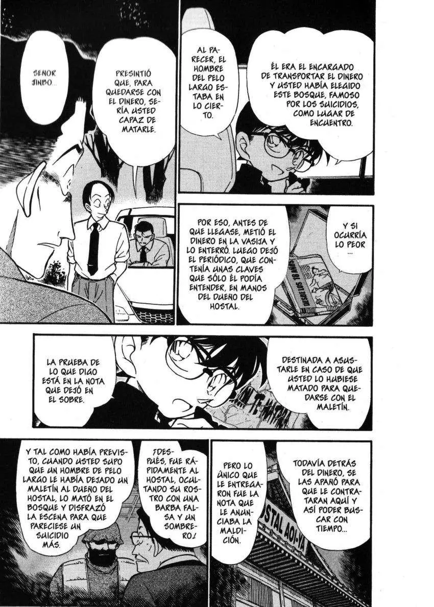 Detective Conan capítulo 310 página 12