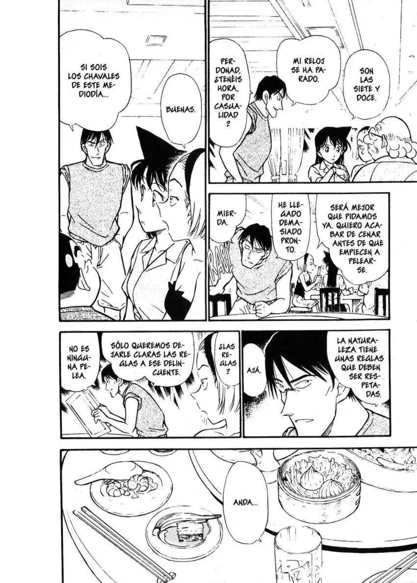 Detective Conan capítulo 311 página 13