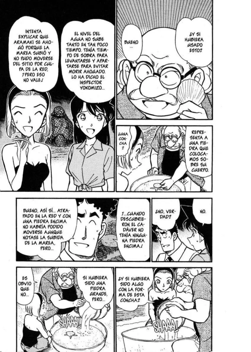 Detective Conan capítulo 313 página 10