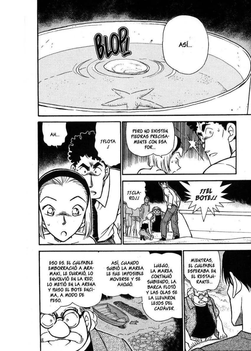 Detective Conan capítulo 313 página 11