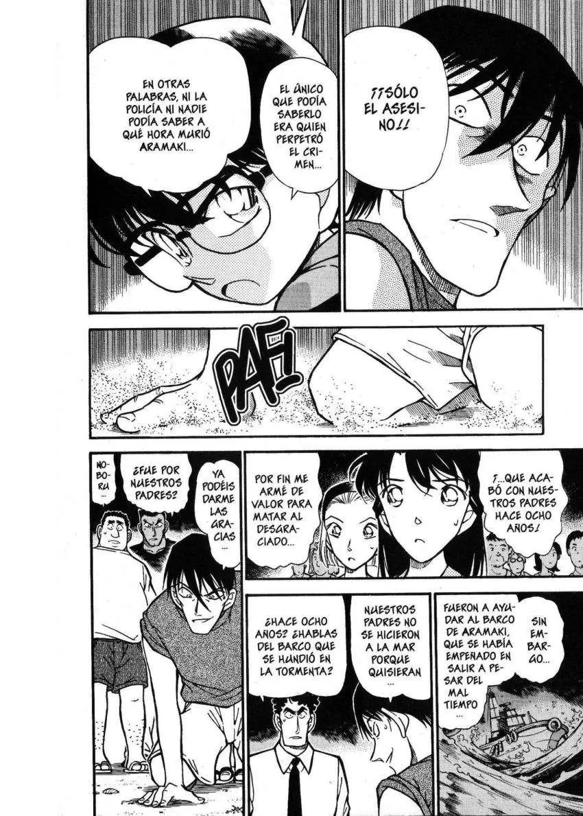 Detective Conan capítulo 313 página 15