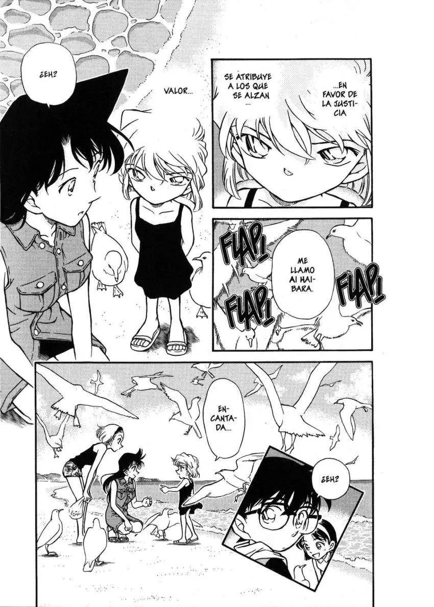Detective Conan capítulo 313 página 18