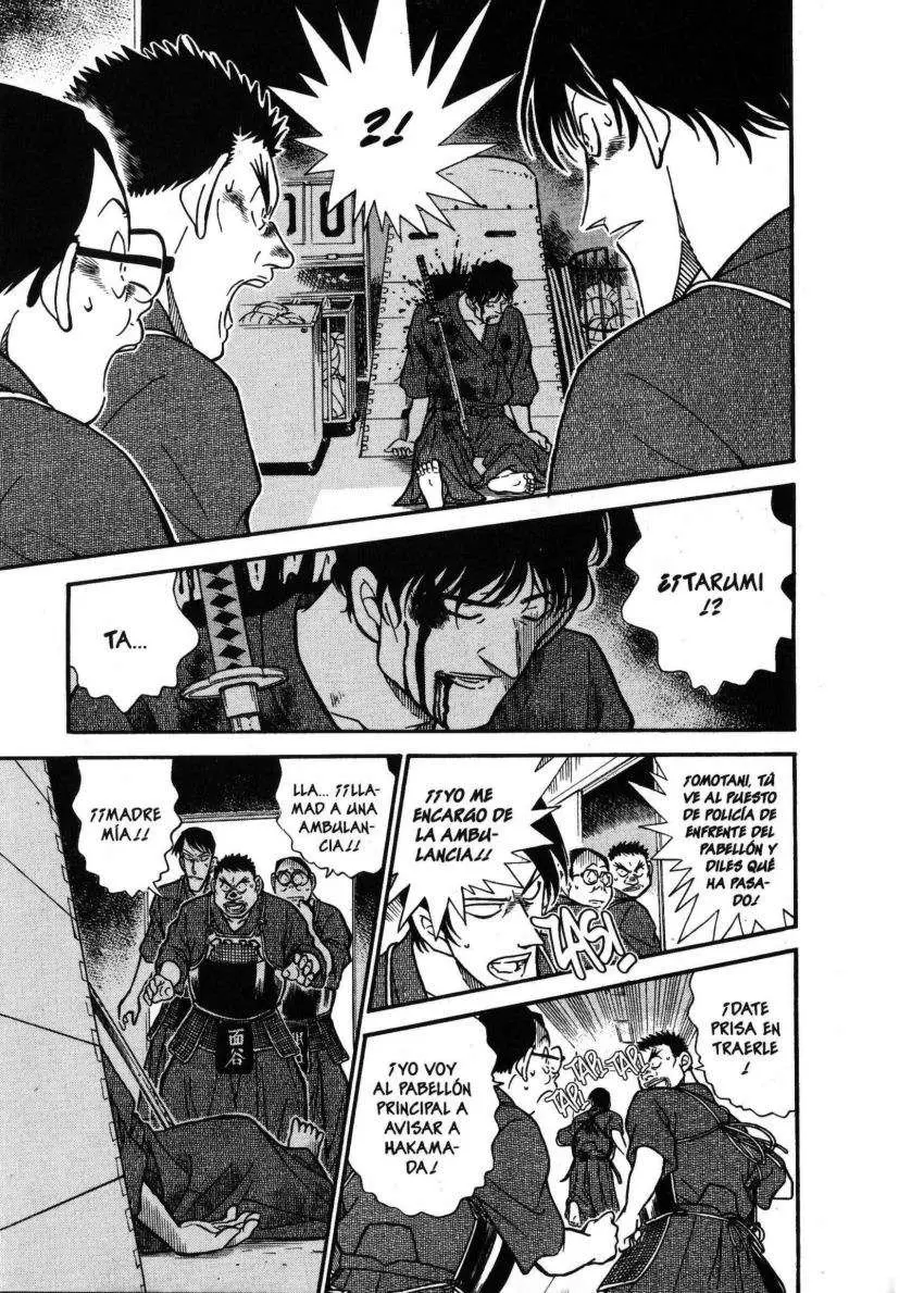 Detective Conan capítulo 314 página 12