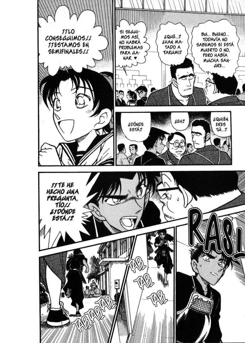 Detective Conan capítulo 314 página 13