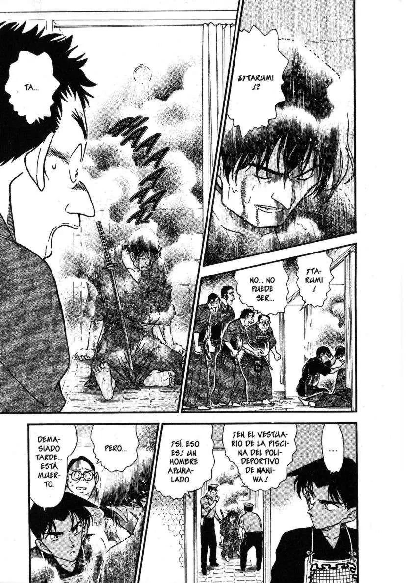Detective Conan capítulo 314 página 16