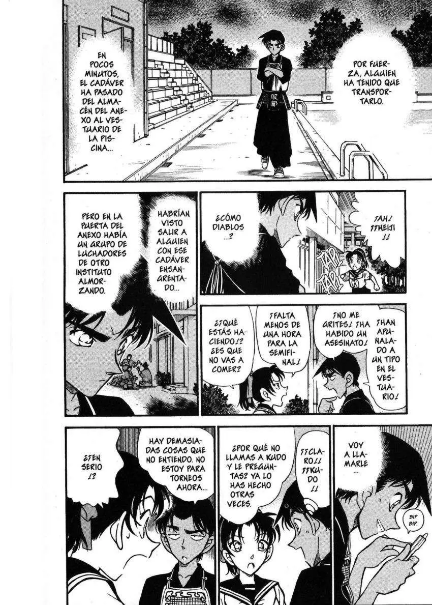 Detective Conan capítulo 314 página 17