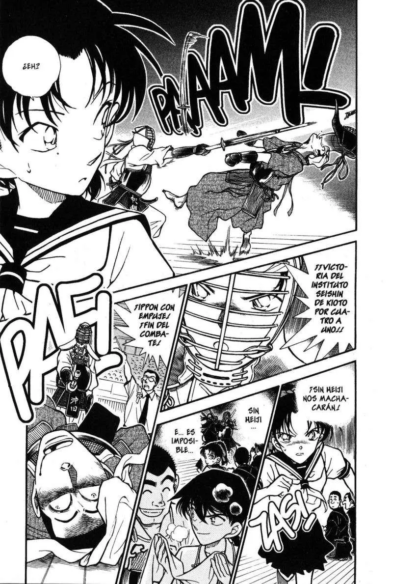 Detective Conan capítulo 315 página 10