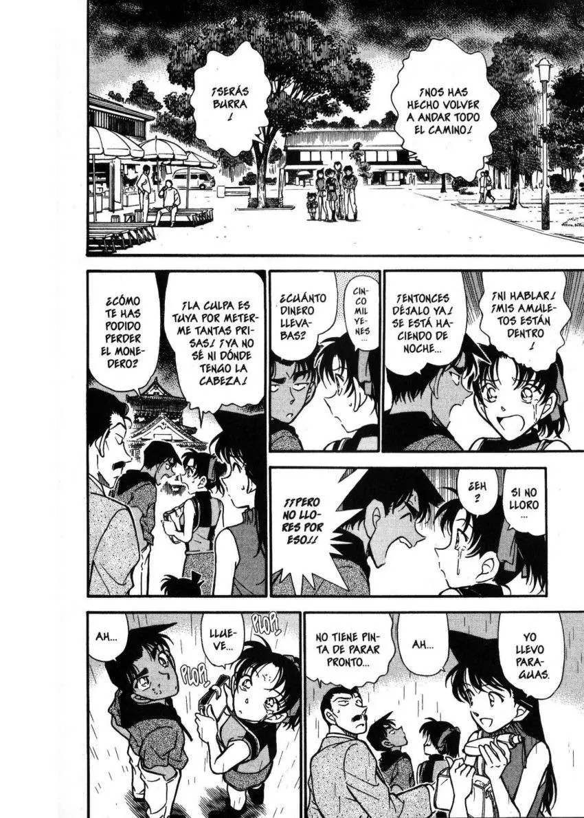 Detective Conan capítulo 317 página 13