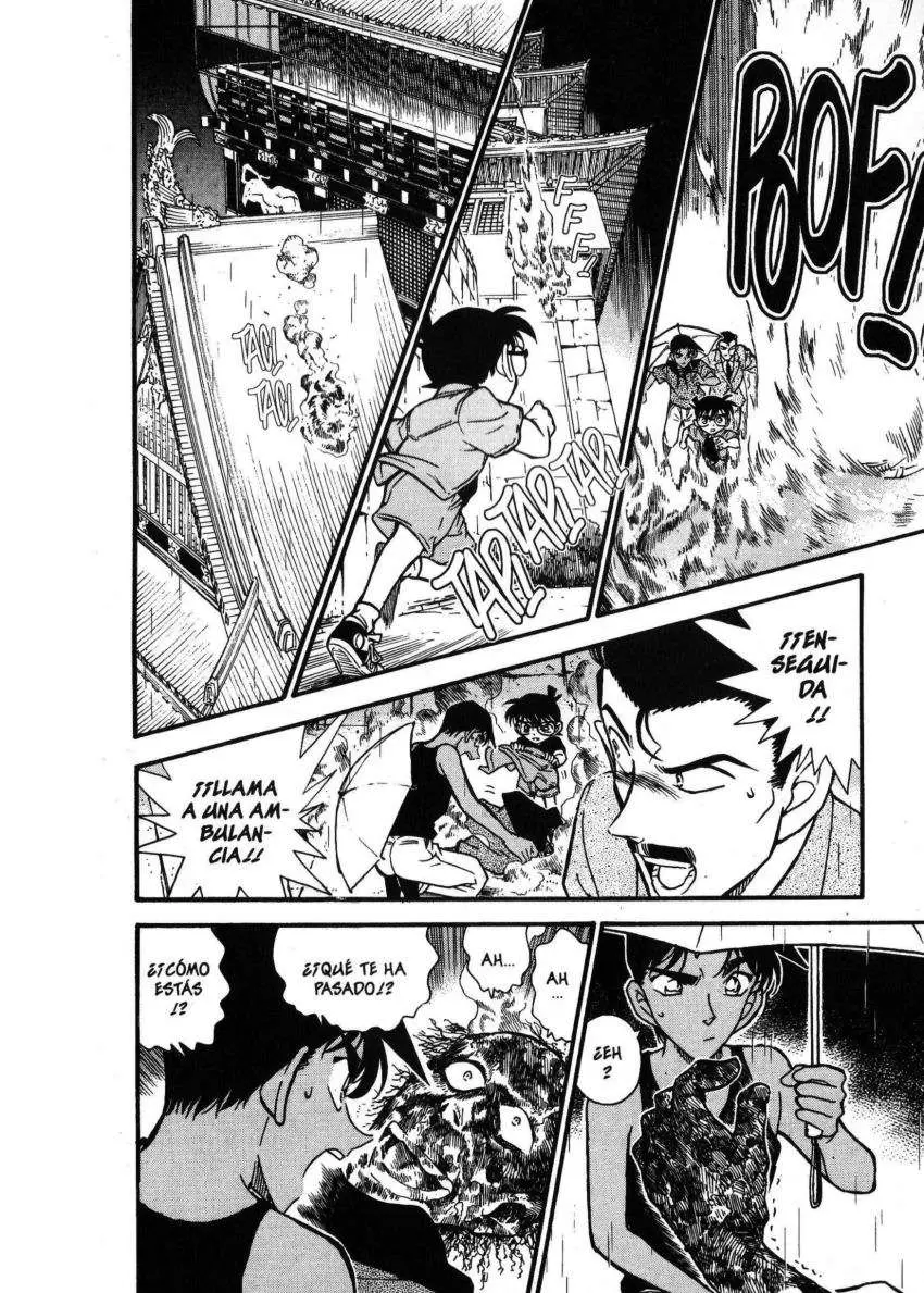 Detective Conan capítulo 317 página 17