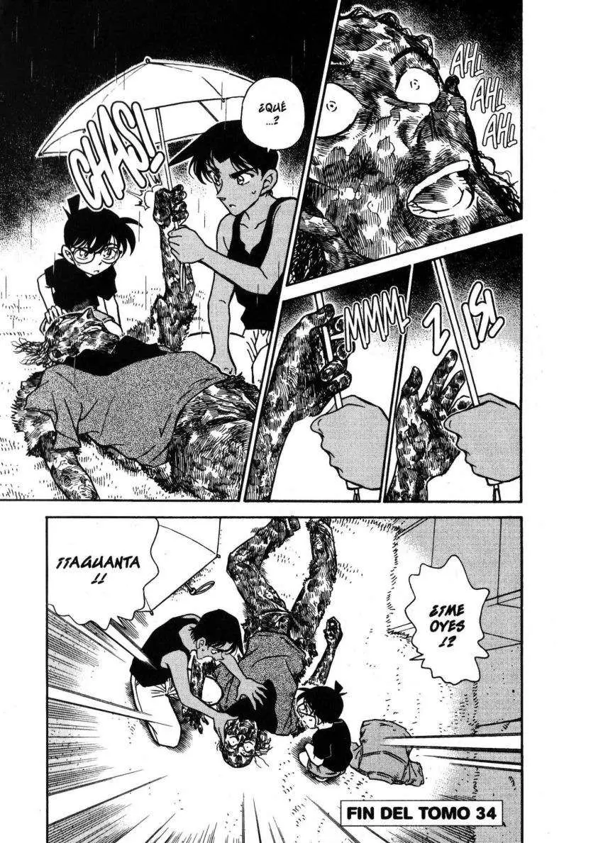 Detective Conan capítulo 317 página 18