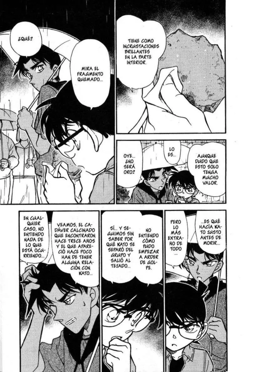 Detective Conan capítulo 318 página 12