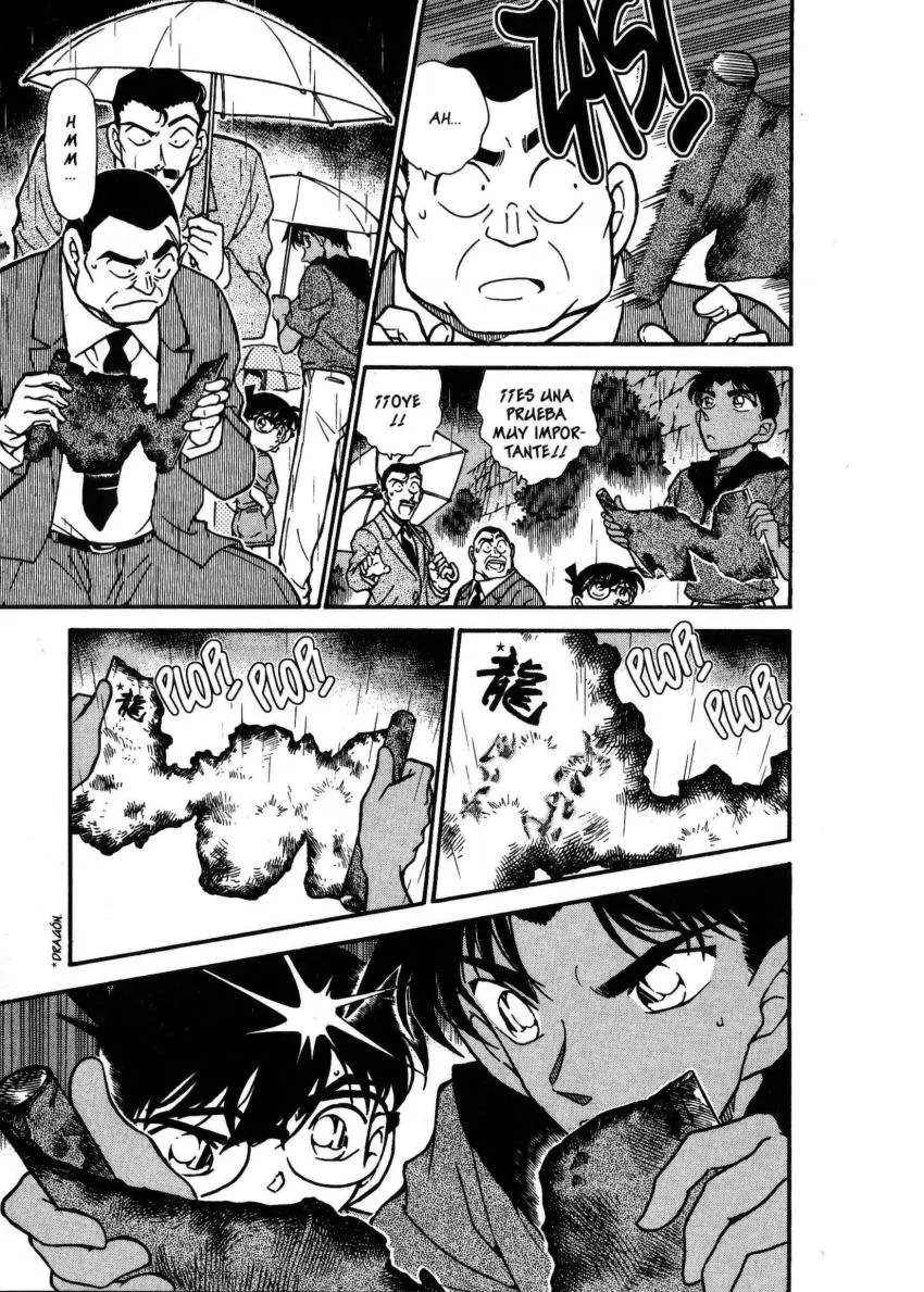 Detective Conan capítulo 318 página 14