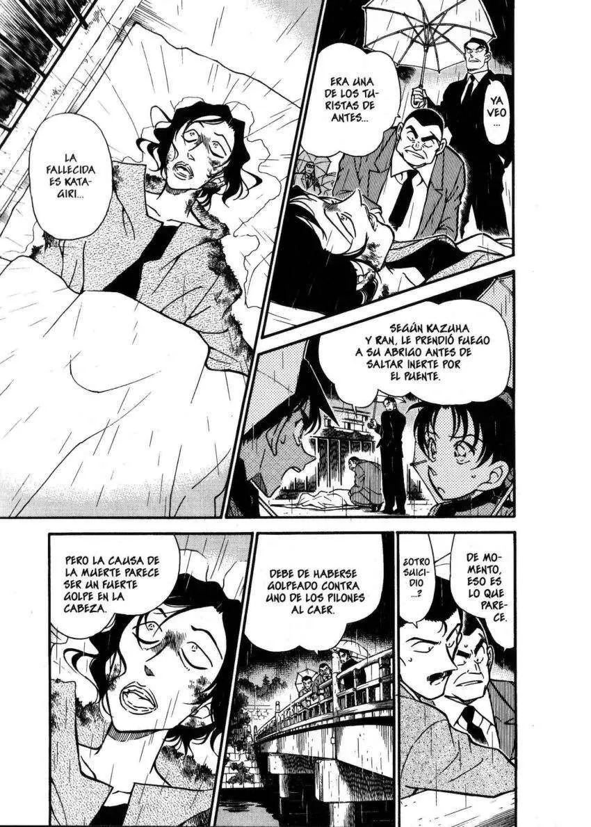 Detective Conan capítulo 319 página 14