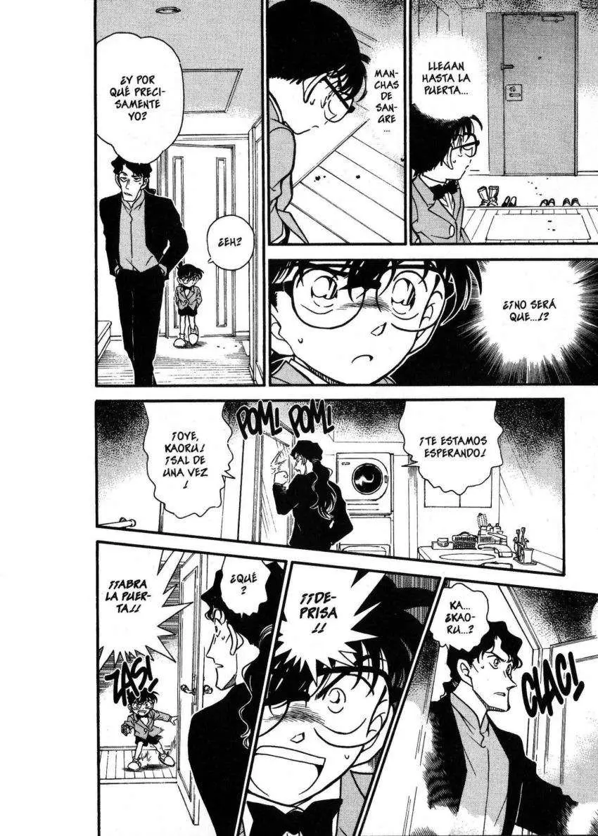 Detective Conan capítulo 322 página 15