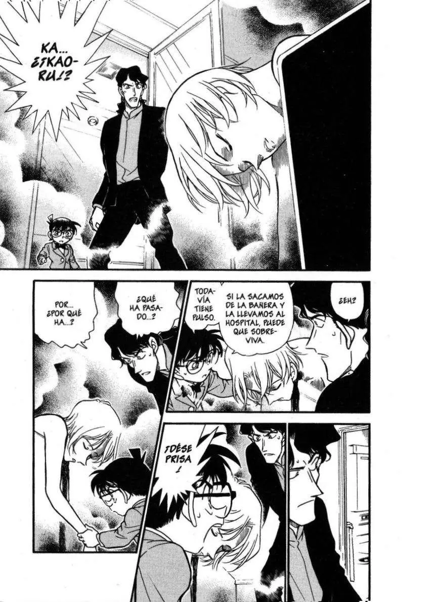 Detective Conan capítulo 323 página 2