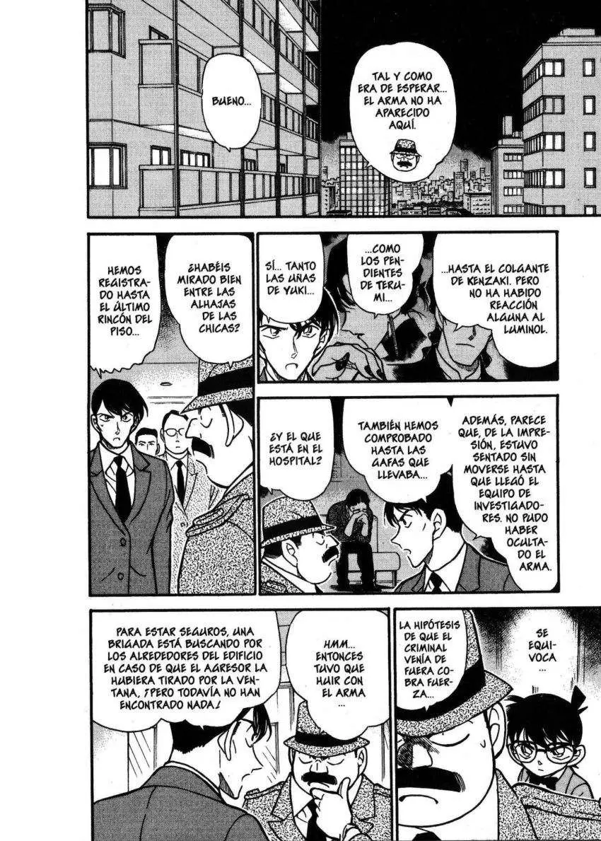 Detective Conan capítulo 323 página 13