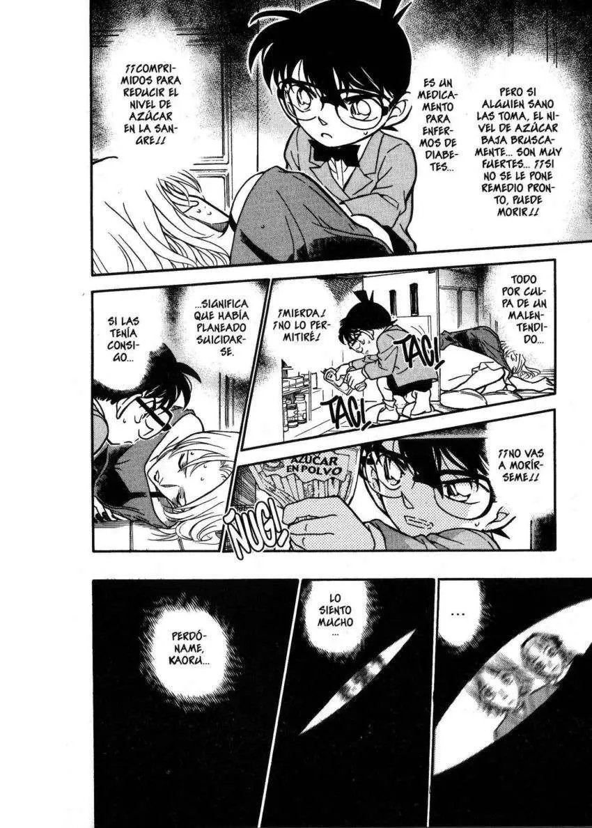 Detective Conan capítulo 324 página 13
