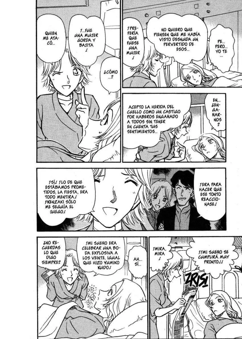 Detective Conan capítulo 324 página 15