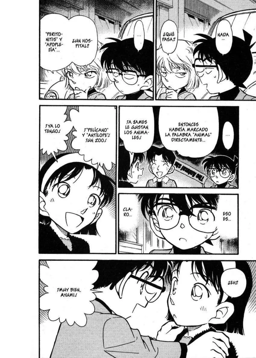 Detective Conan capítulo 326 página 15