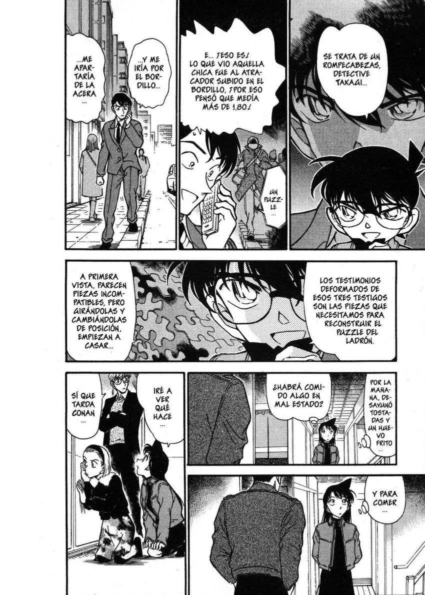 Detective Conan capítulo 329 página 13