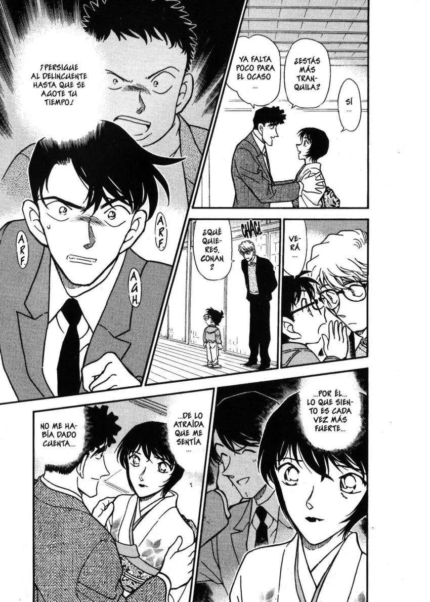 Detective Conan capítulo 330 página 14