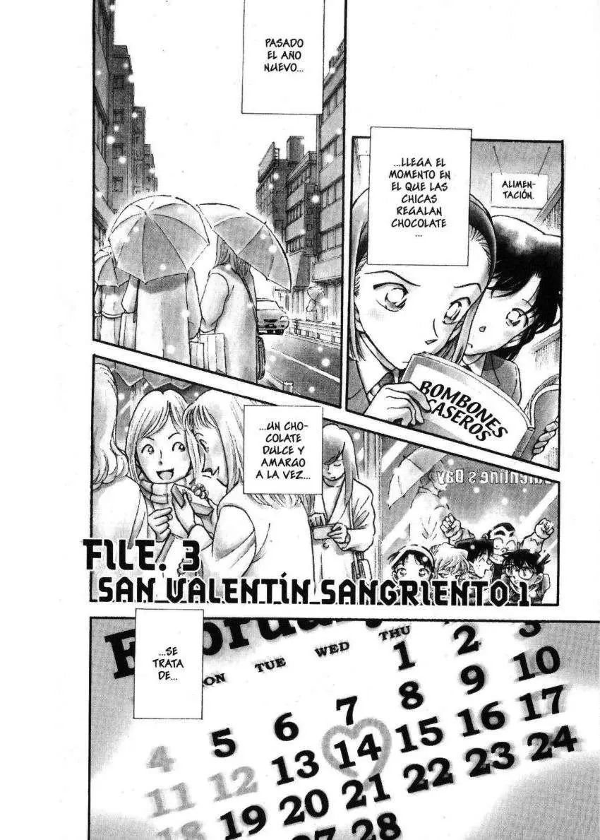 Detective Conan capítulo 330 página 19