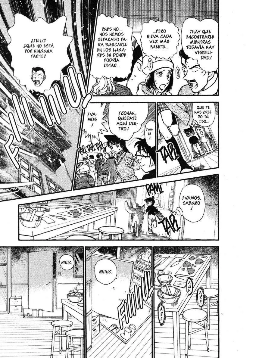 Detective Conan capítulo 331 página 13