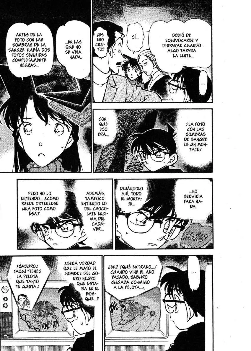 Detective Conan capítulo 333 página 8