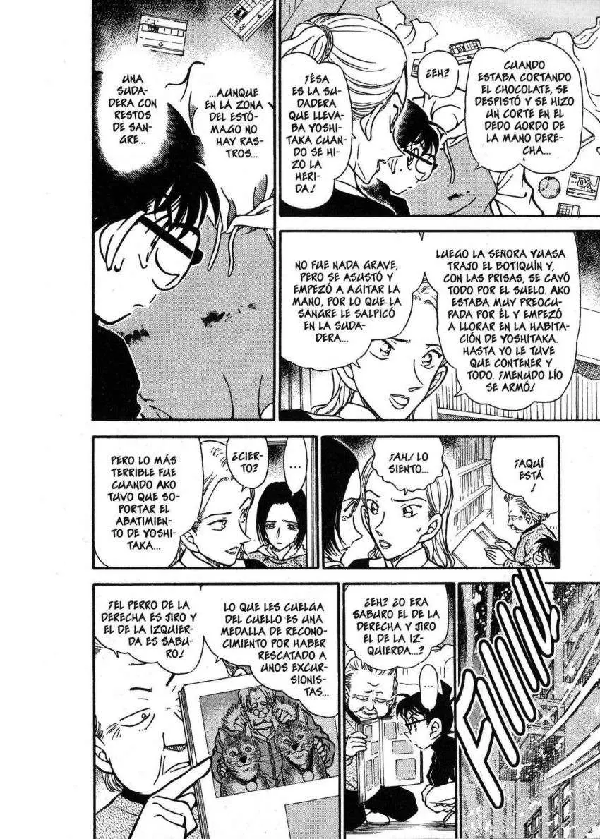 Detective Conan capítulo 333 página 11