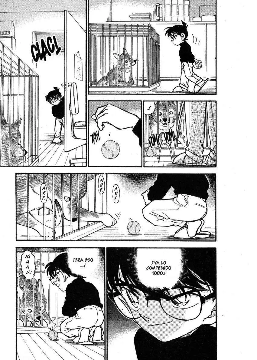 Detective Conan capítulo 333 página 12