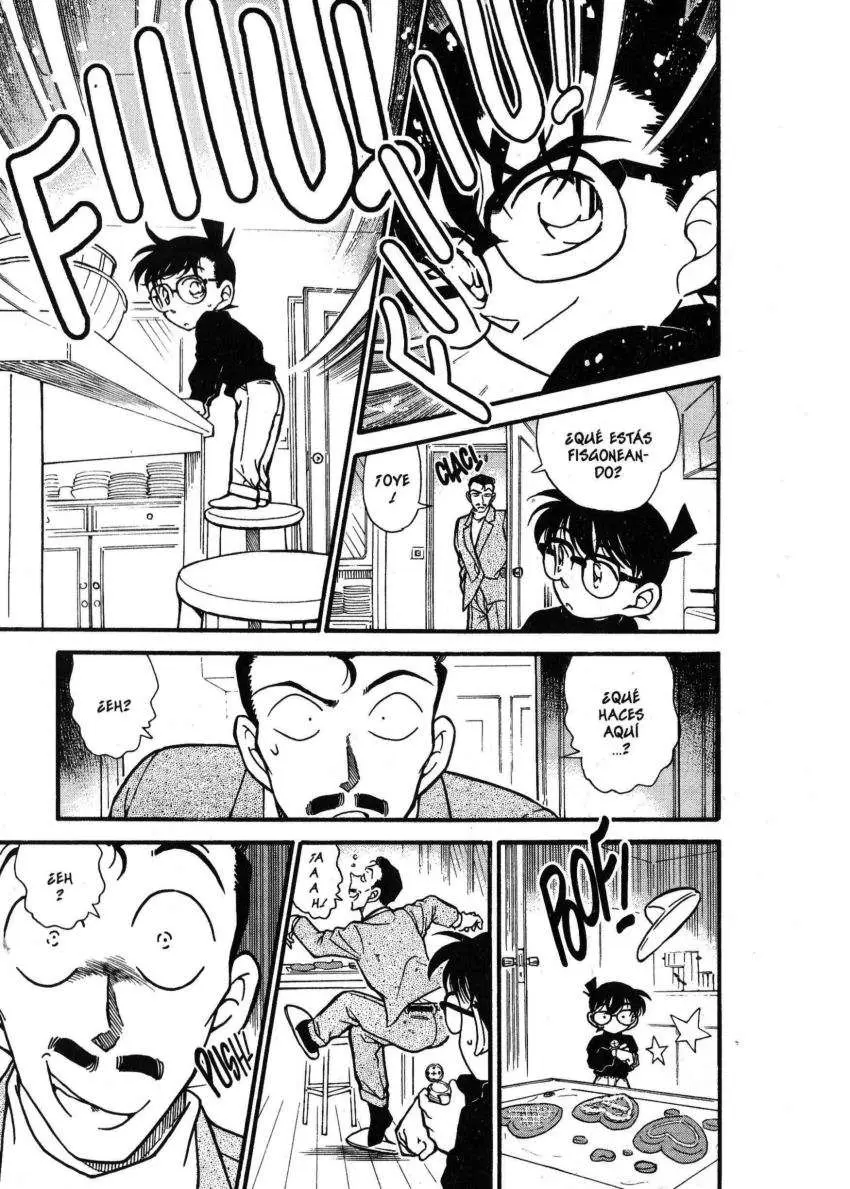 Detective Conan capítulo 333 página 14