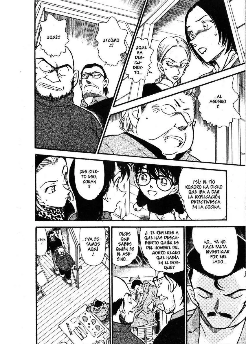 Detective Conan capítulo 333 página 15