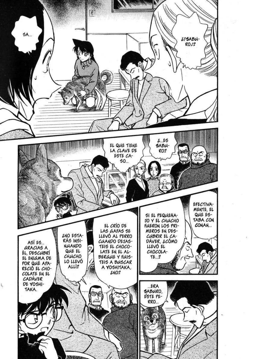 Detective Conan capítulo 334 página 2