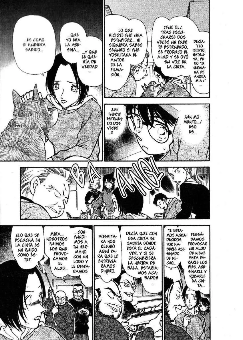 Detective Conan capítulo 334 página 8