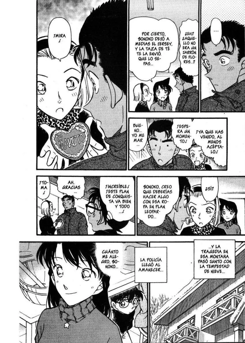 Detective Conan capítulo 334 página 13