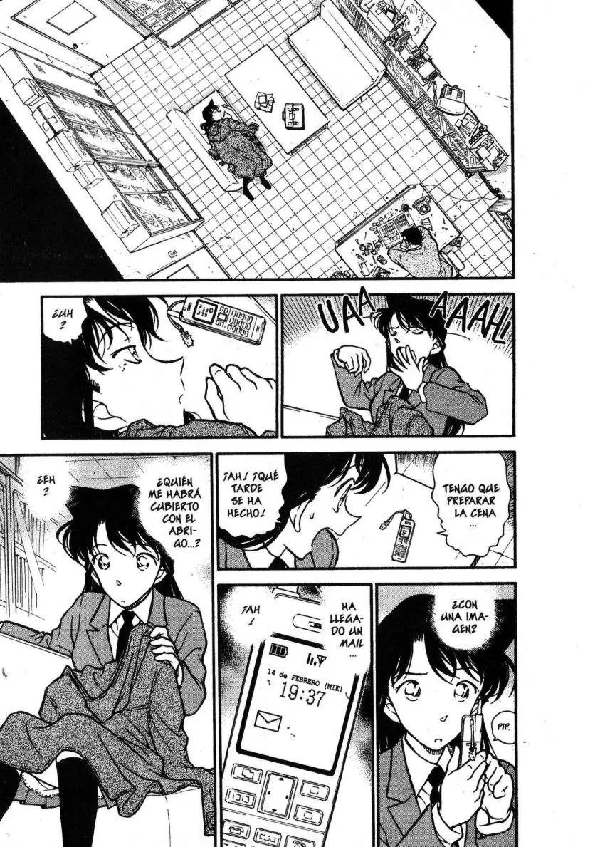Detective Conan capítulo 334 página 16