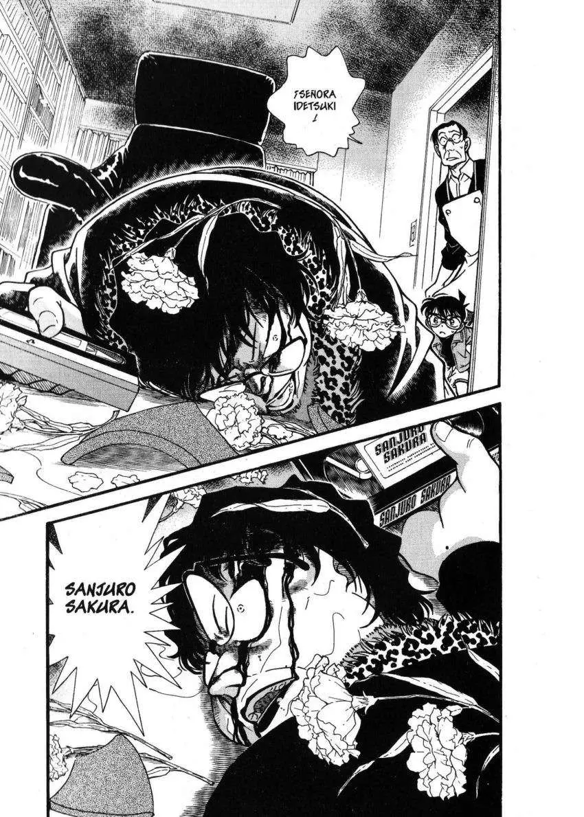 Detective Conan capítulo 335 página 18