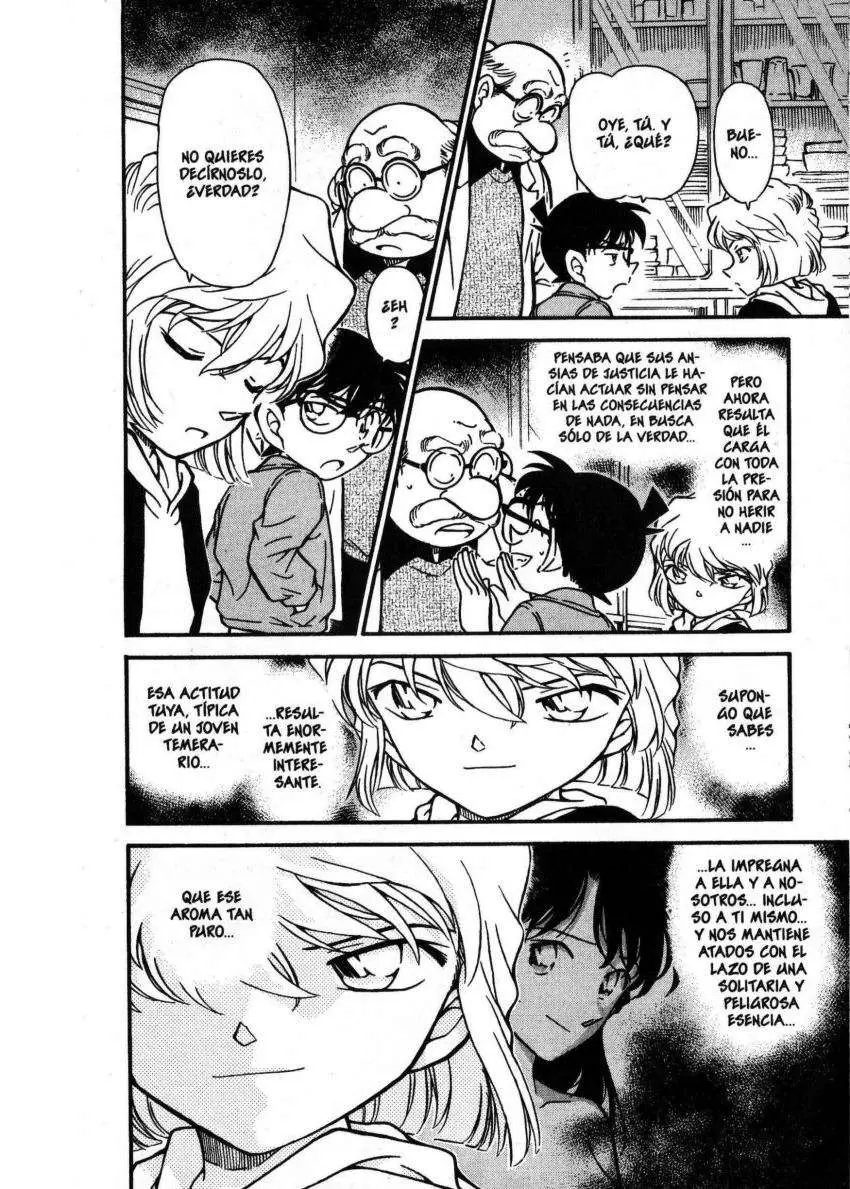 Detective Conan capítulo 336 página 11