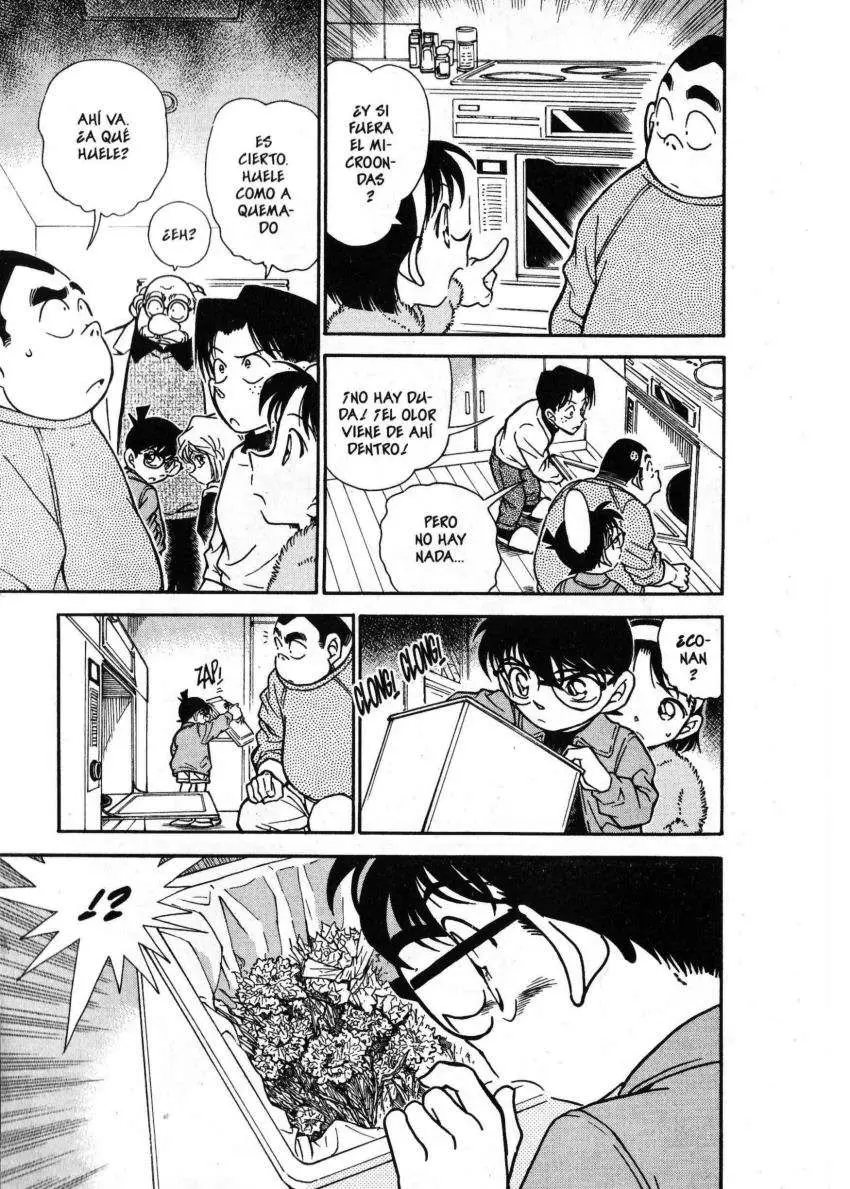 Detective Conan capítulo 336 página 12