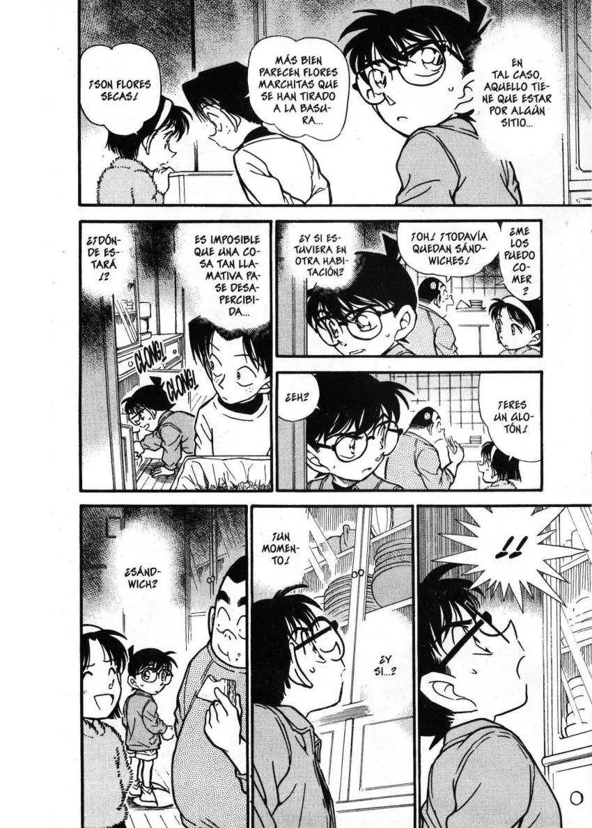 Detective Conan capítulo 336 página 13