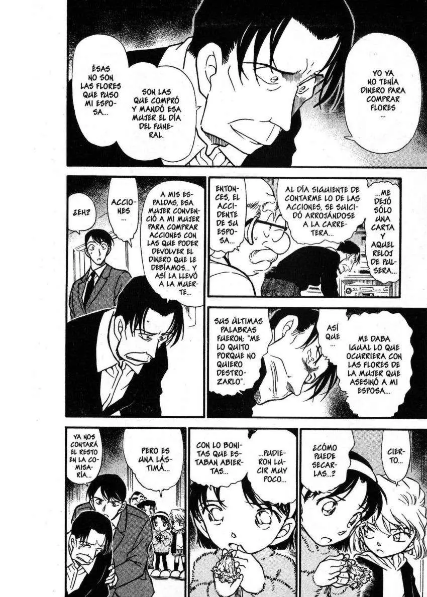 Detective Conan capítulo 337 página 13