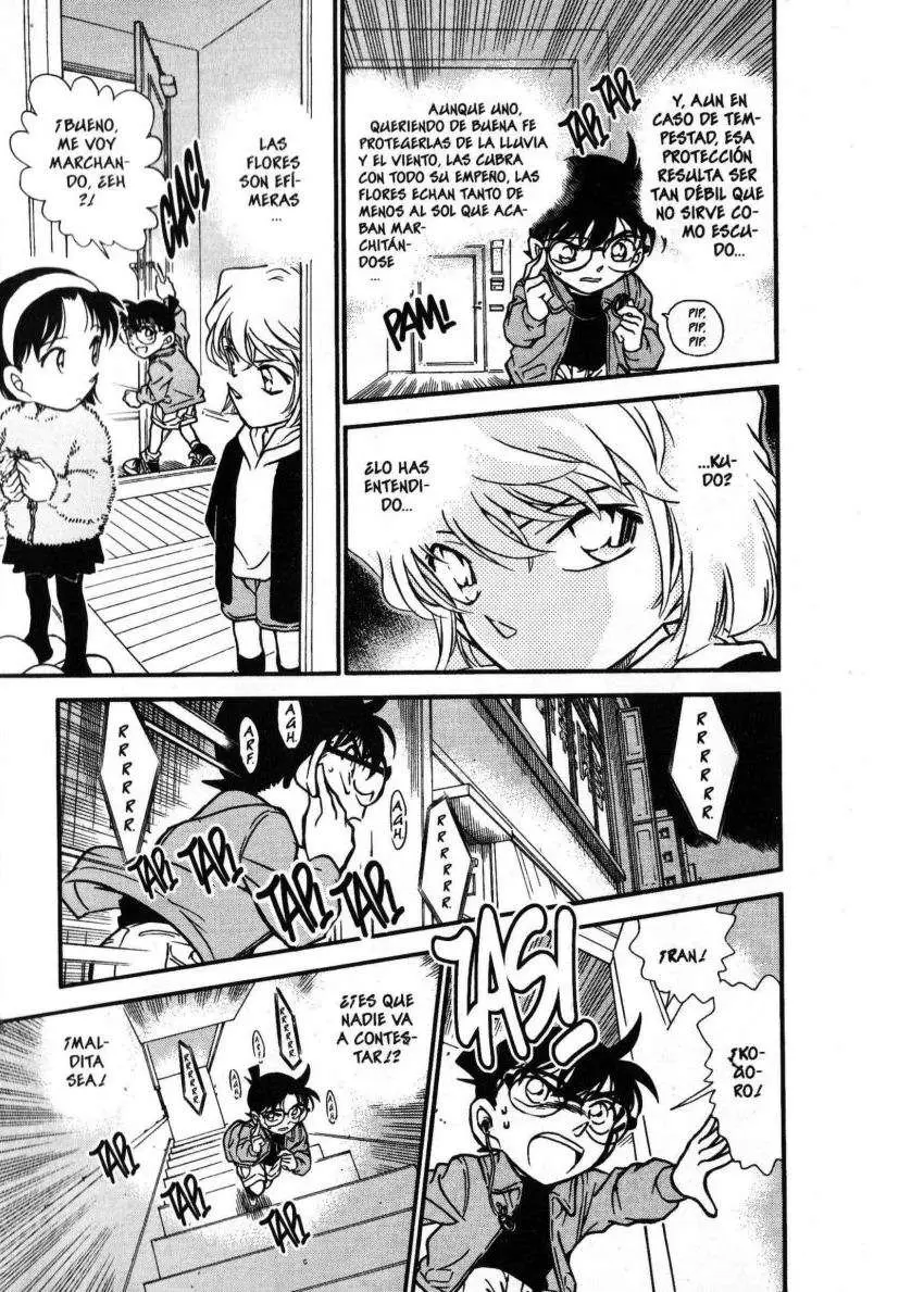 Detective Conan capítulo 337 página 14