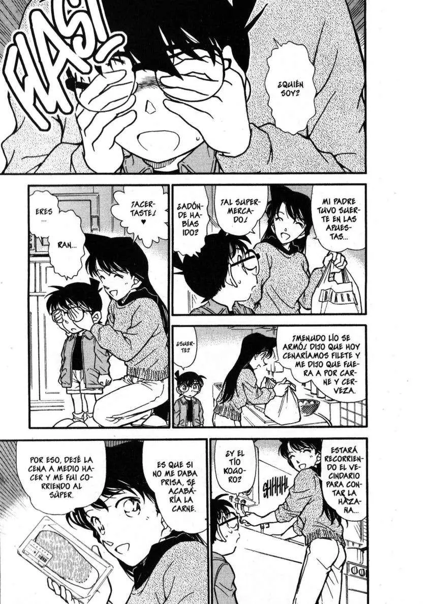 Detective Conan capítulo 337 página 16