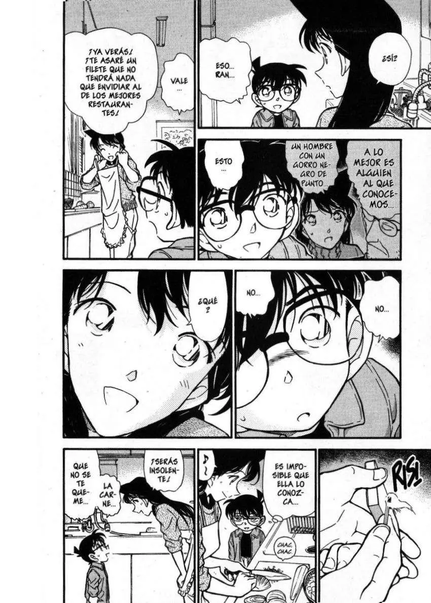 Detective Conan capítulo 337 página 17